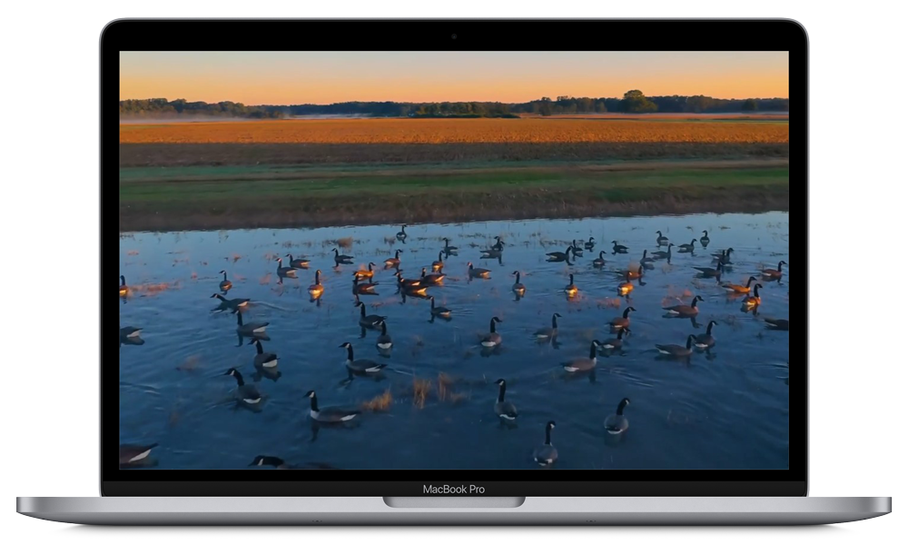 A MacBook Pro displaying a photo of geese swimming on a pond with fields and trees in the background at sunset.