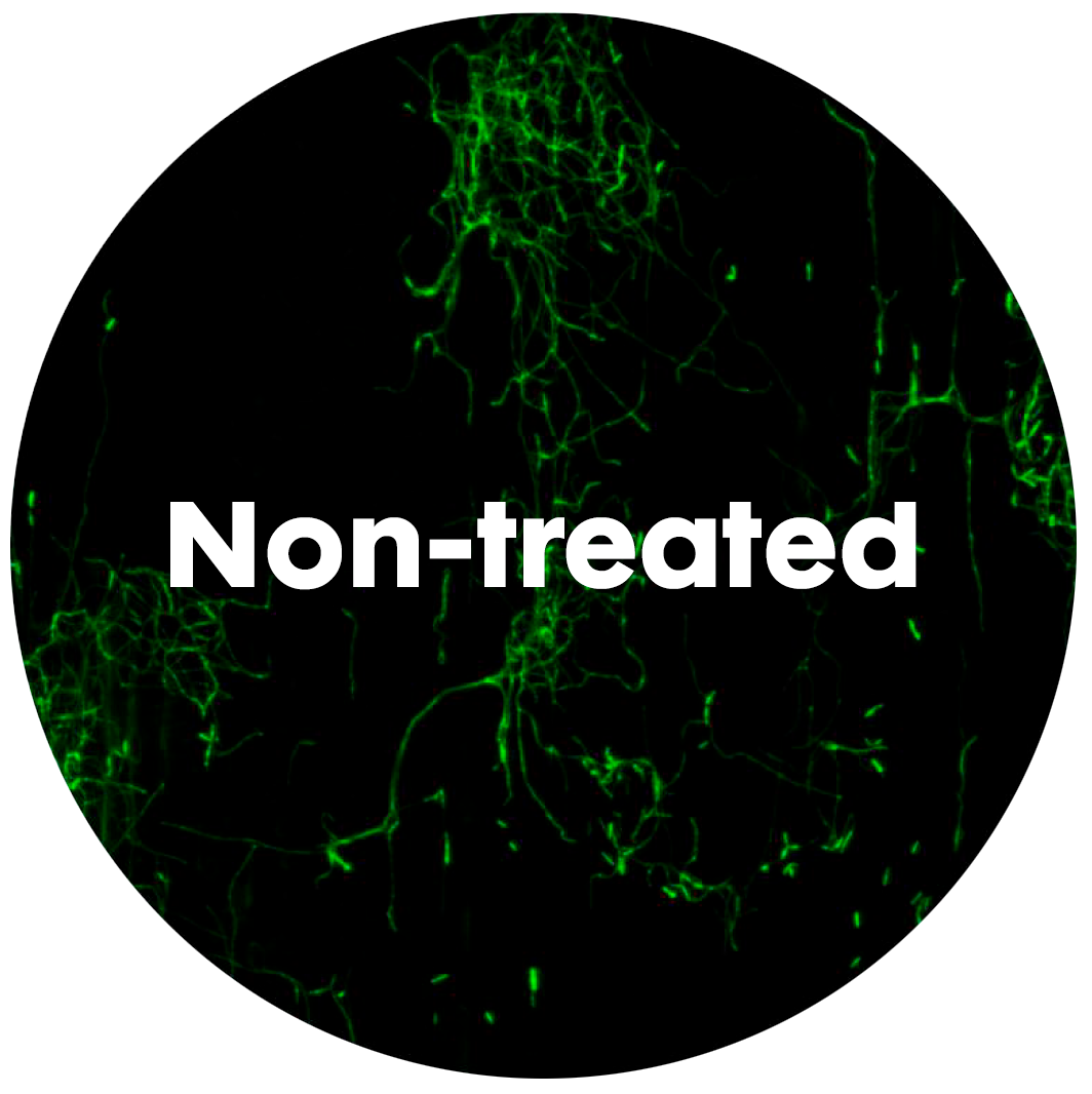 side-by-side treated vs. non-treated images