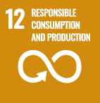 UN SDG icon 12 Responsible consumption and production