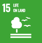 UN SDG icon 15 Life on land