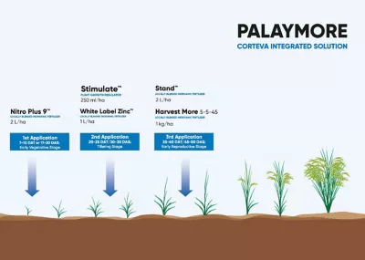 Crop Stages