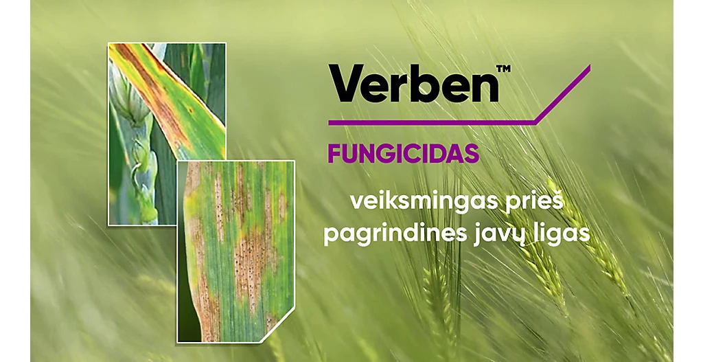 1 Verben - At a Glance