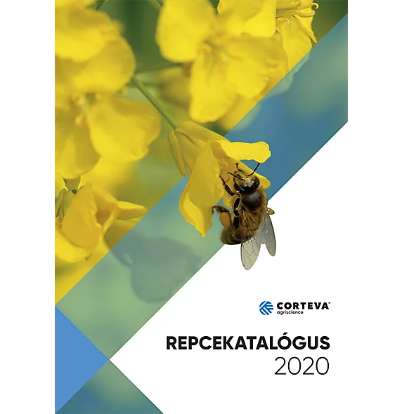 2020Repcekatalogus