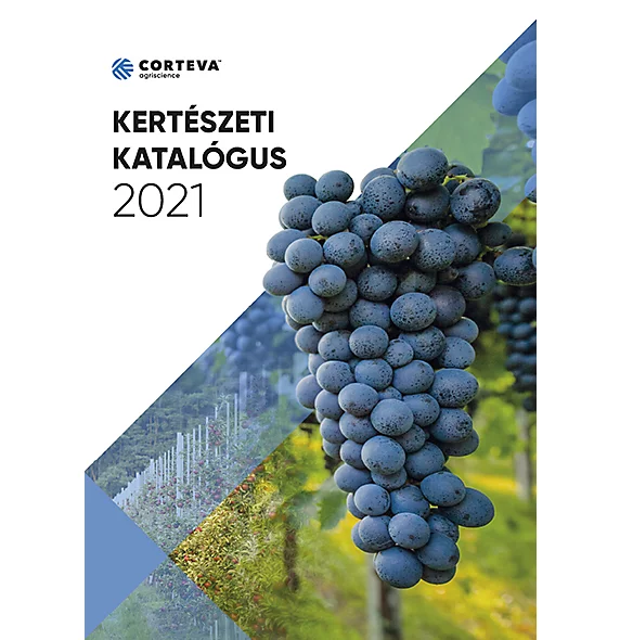 KertesztiKatalogus