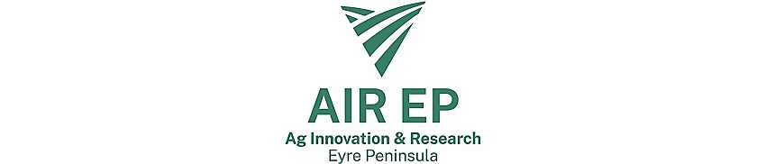 AIR EP Logo