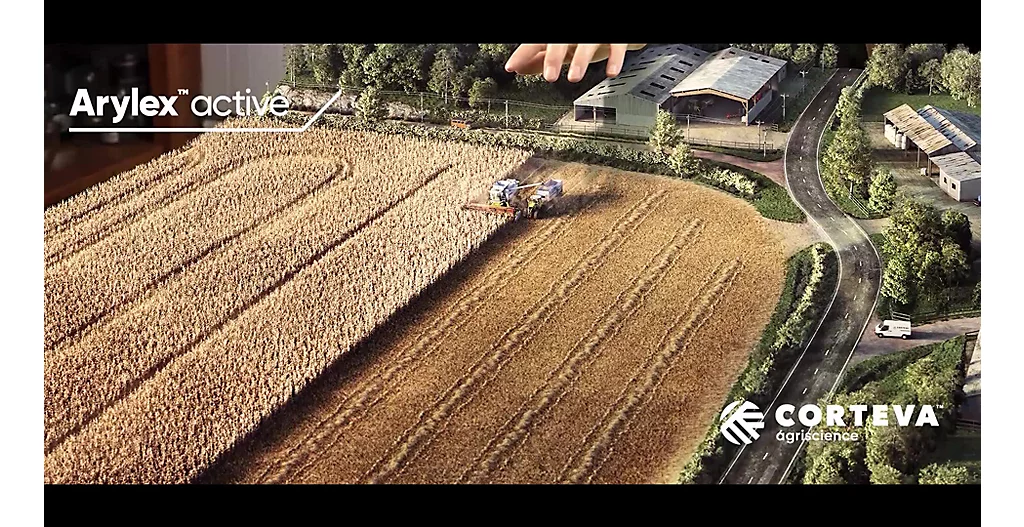 ARYLEX CEREALS BRANDING