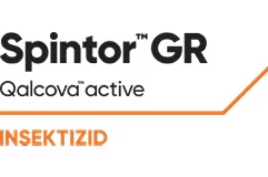 Spintor_Gr_Logo