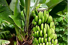 AdobeStock_380044050
