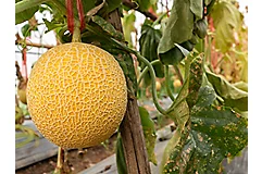 AdobeStock_430164972 - Copy.jpeg