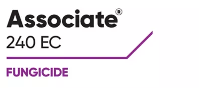 Brand_Logo