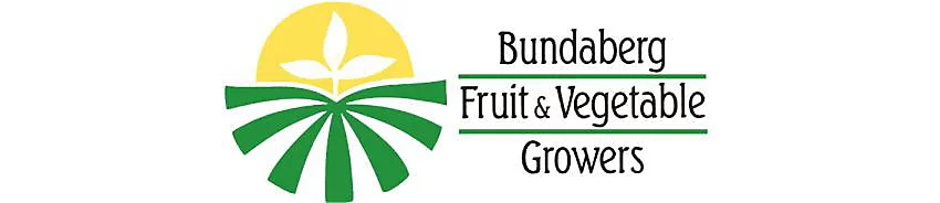 BFVG Logo