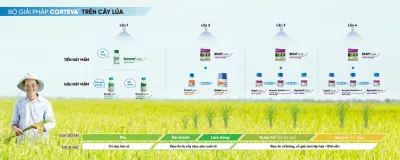 Bộ giải pháp Corteva trên cây lúa