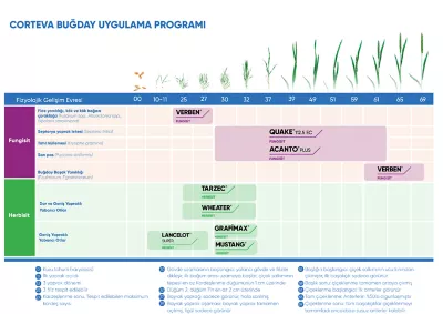 bugday-ilac-programi