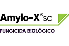Amylo-X SC