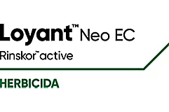 Loyant™ Neo EC 