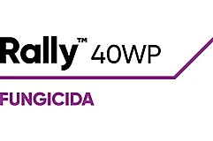 Rally™️ 40 WP 