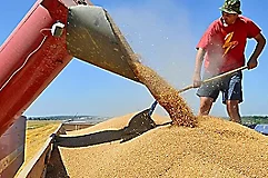 Man with shovel