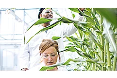 Collaborating with Corteva Agriscience