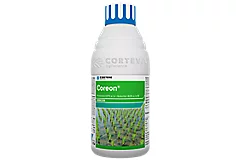 Coreon