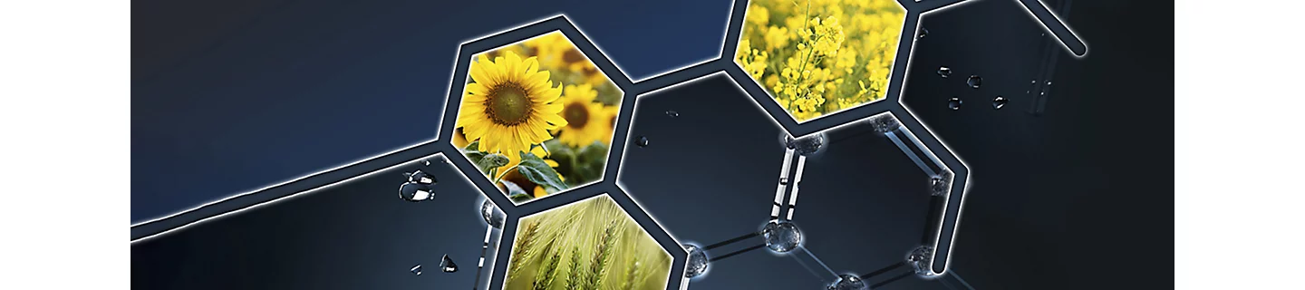 Corteva_ib_1440x400_ArylexActive_desctop_2021