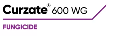 Brand_Logo
