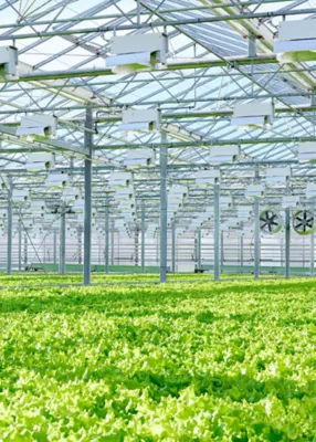 Protected Cropping