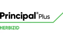 Principal Plus