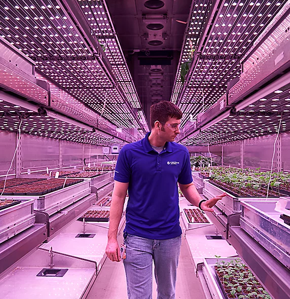 PropagationChamber