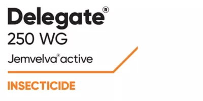 Brand_Logo