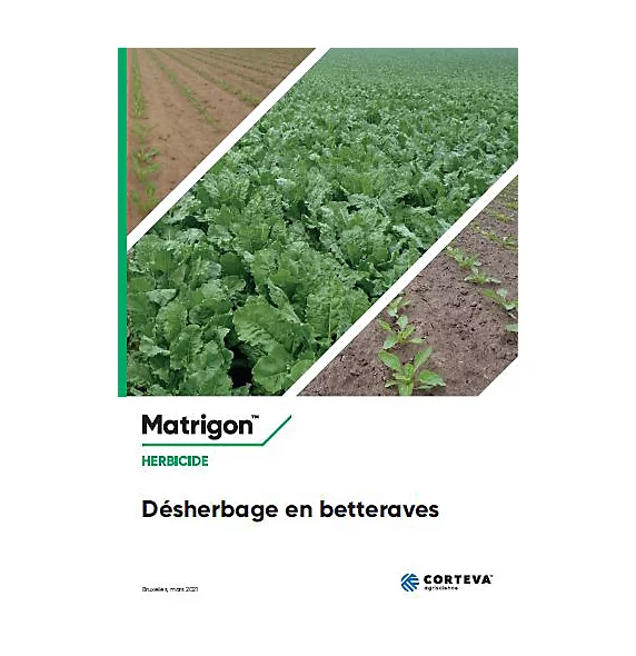 Desherbage_en_betteraves_Matrigon_2021_front