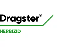 Dragster