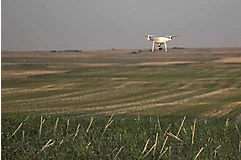 Drone Flying Over Cereal Crop