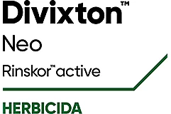 Divixton™ Neo 