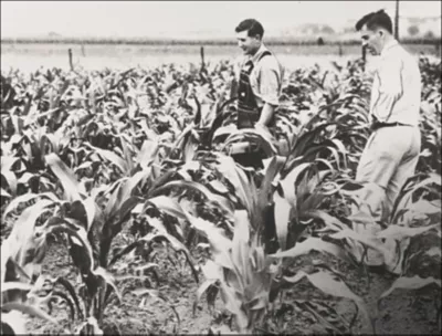 One-to-one Since 1926 - Historic
