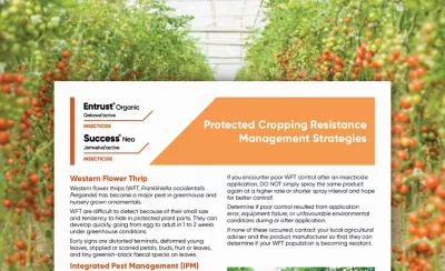 Protected Cropping Resistance Management Strategies