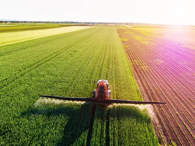 Farmer spraying green wheat field.jpeg