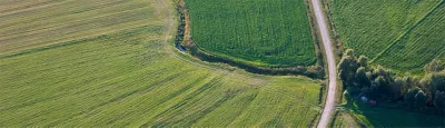 Farming on the Forefront_Vineyard