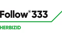 Follow 333