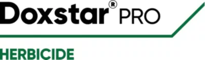 Doxstar Pro