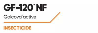 Brand_Logo