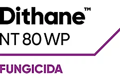 Dithane™ NT 80 WP