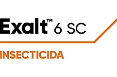 Exalt™ 6 SC