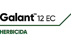 Galant™ 12 EC 