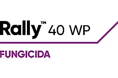 Rally™ 40 WP 