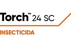 Torch™ 24 SC