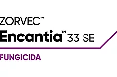 Zorvec™ Encantia™ 33 SE