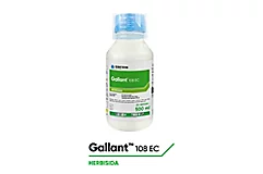 Gallant™ 108 EC