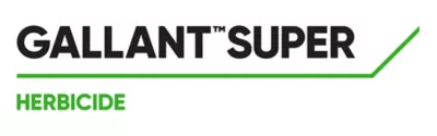 Brand_Logo