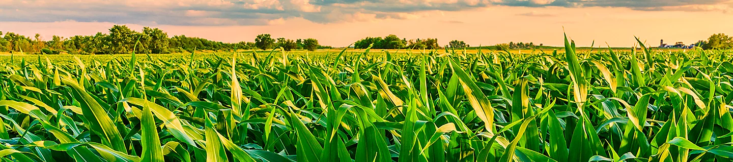 HRO_03_product_header