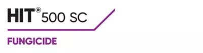 Brand_Logo